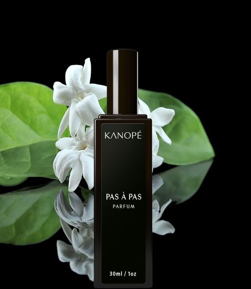 PAS À PAS - LUMINOUS JASMINE