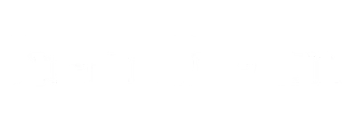 BRIN BRUN logo