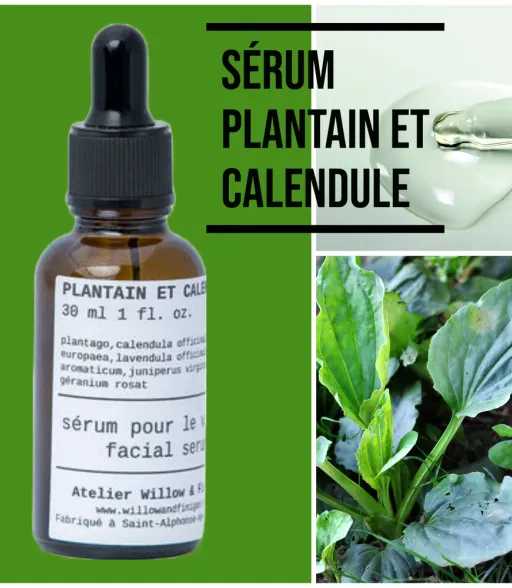 Sérum plantain | calendule