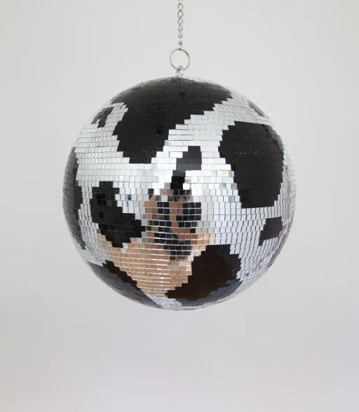 Discow Ball