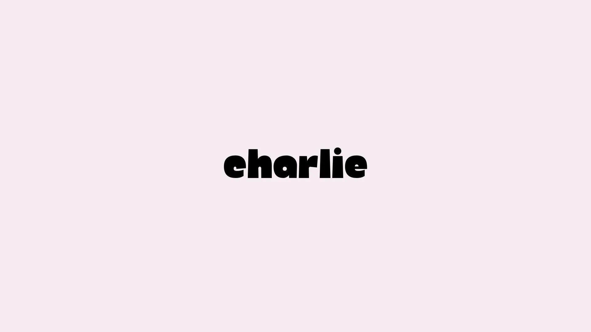 CHARLIE HULIN banner