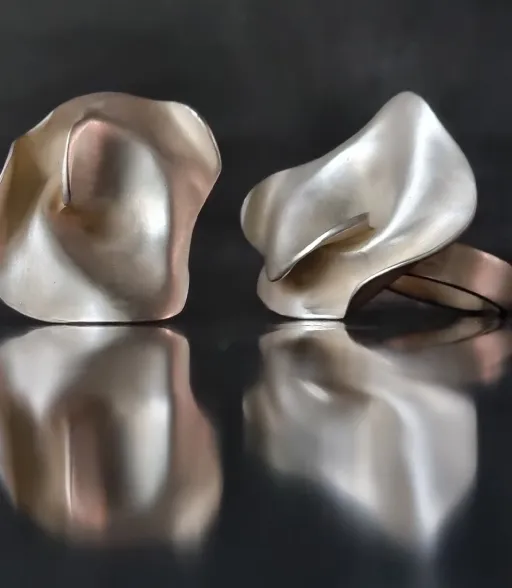 Anneau de champignon