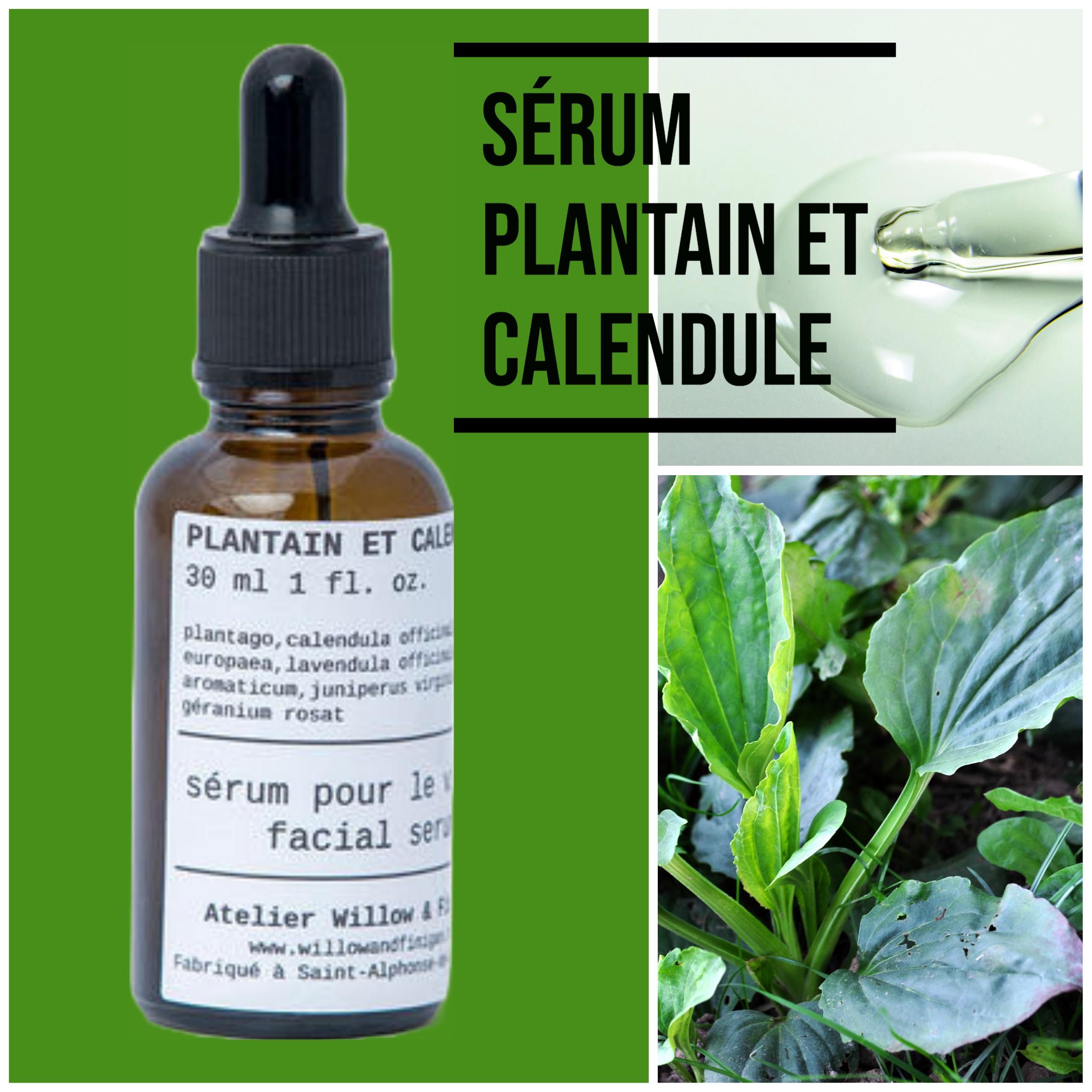 Serum Plantain | Calendula